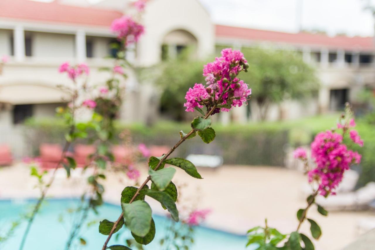 Vineyard Court Designer Suites Hotel College Station Eksteriør bilde